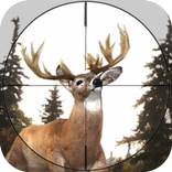 Animal Hunter Simulator - Jungle Survival 3D