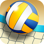 Real VolleyBall World Champion 3D 2019-icoon