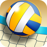 Real VolleyBall World Champion 3D 2019 icône