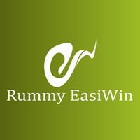 cards easiwin постер