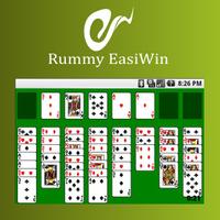 cards easiwin स्क्रीनशॉट 2