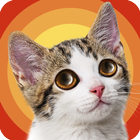 Cat Adventure Hidden Object icon