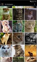 Cat Wallpapers Free HD captura de pantalla 1