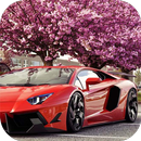 APK Sport Car Wallpaper 3D