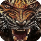 Tiger Wallpapers Lite أيقونة