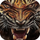 Tiger Wallpapers Lite 아이콘