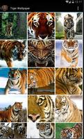 Tiger Wallpapers Lite الملصق