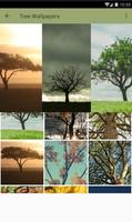 Tree Wallpapers Free HD 스크린샷 2