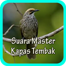 Suara Burung Kapas Tembak Offline APK