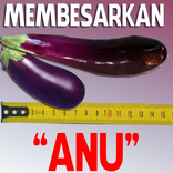 Trik Membesarkan Anu