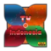 TV Indonesia Baru APK