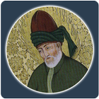Rumi Sayings icône