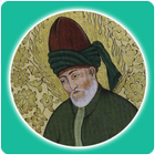 Rumi Quotes icono