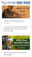 Rumi Affiche