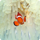 آیکون‌ Amazing Sea Pictures For Kids