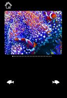 Amazing Sea Pictures For Kids capture d'écran 3