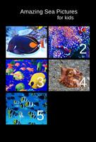 Amazing Sea Pictures For Kids โปสเตอร์
