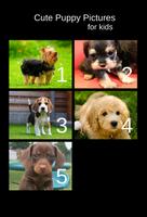 Cute Puppy Pictures For kids পোস্টার