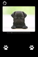 Cute Puppy Pictures For kids captura de pantalla 1