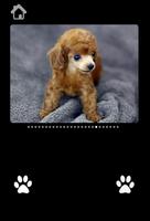 Cute Puppy Pictures For kids captura de pantalla 2