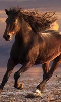 running horses wallpaper poster