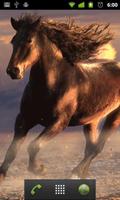 running horses wallpaper screenshot 1