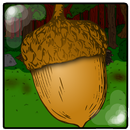 The Angry Squirrel APK