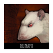 Rat Clicker 2 - Idle RPG