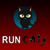 RUN CATY APK