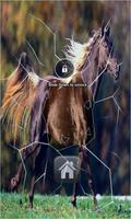 Runing Horse Live Wallpaper اسکرین شاٹ 3