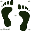 Pedometer Steps Timer APK