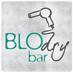 Blo-Dry Bar