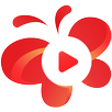 DIY Video Crafts APK