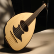 play the lute