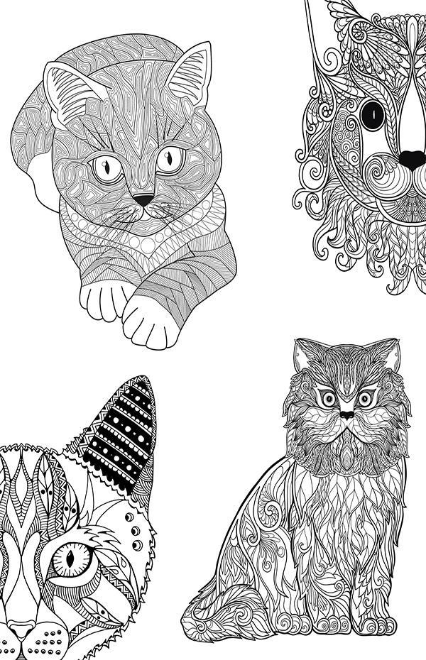 41 Coloring Pages Cat Mandala For Free 41 Coloring Pages Cat Mandala For Free
