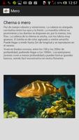 Guía marina de Galicia syot layar 1