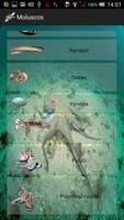 Guía marina de Galicia syot layar 3