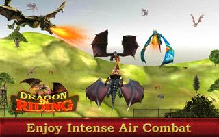 Dragon sim coureur guerrier Affiche