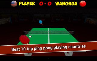 Nyata Ping Pong 3D screenshot 3