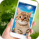 Cat on Mobile Screen: Cat Walk in Phone Funny Joke APK