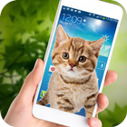 Cat on Mobile Screen آئیکن
