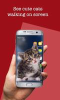 Cat on Mobile Screen اسکرین شاٹ 2