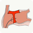 Transeptaid icon