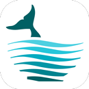 Whale Tail Pharmacy APK