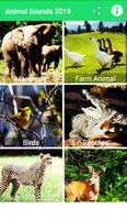 Poster Best Animal Sounds