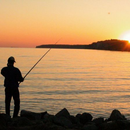 Рыбалка календарь-APK