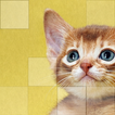 Cats Puzzle