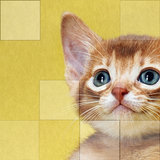 ikon Cats Puzzle
