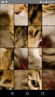 Cats Puzzle Plakat