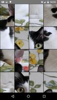 Cats Puzzle اسکرین شاٹ 1